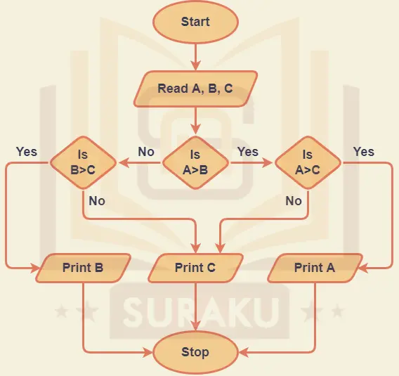 Suraku Academy